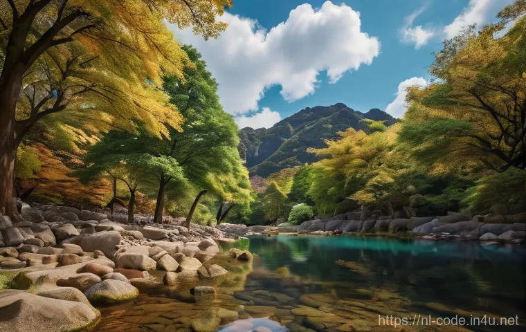 코딩교육지도사 강의 자료 제작 팁 이미지 1 코딩교육지도사 강의 자료 제작 팁 이미지 1